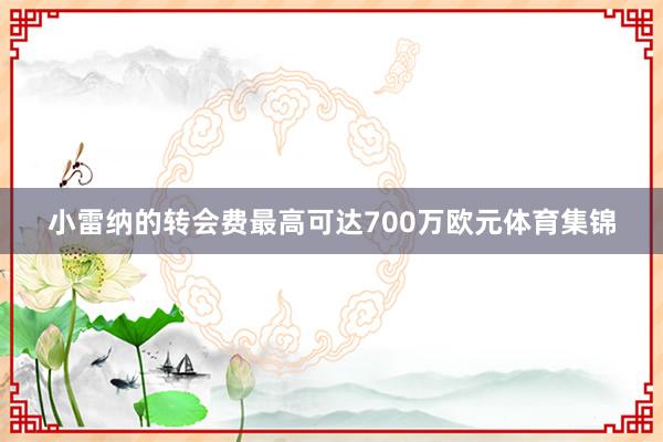 小雷纳的转会费最高可达700万欧元体育集锦