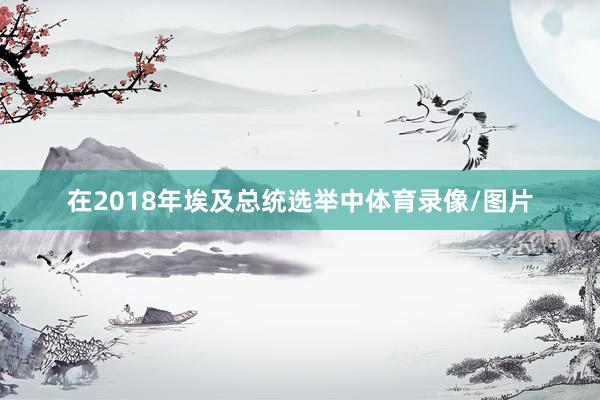 在2018年埃及总统选举中体育录像/图片