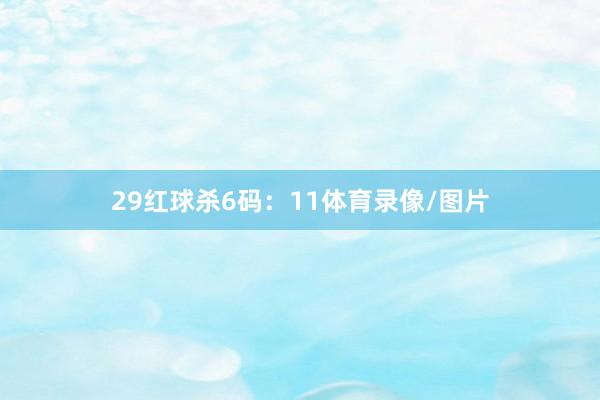 29　　红球杀6码：11体育录像/图片